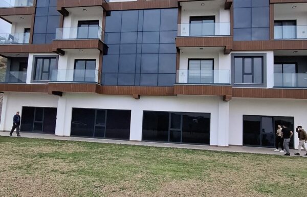 IMG-20260124-WA0114_web