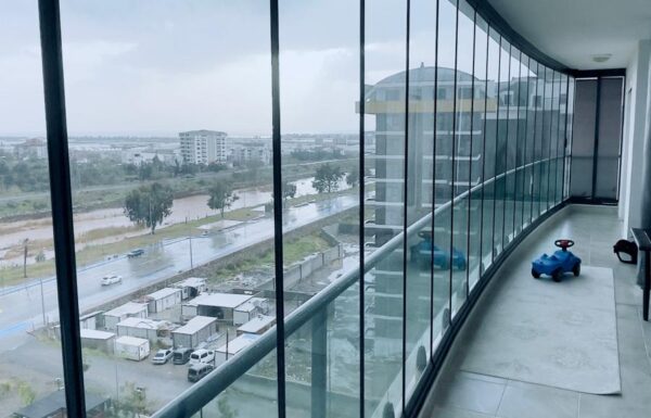 WhatsApp Image 2026-01-27 at 17.24.19